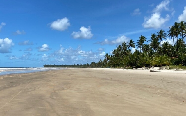 Manawa Bangalôs