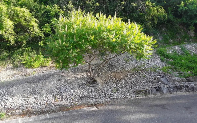 Sporthotel Fränkische Schweiz - Hostel