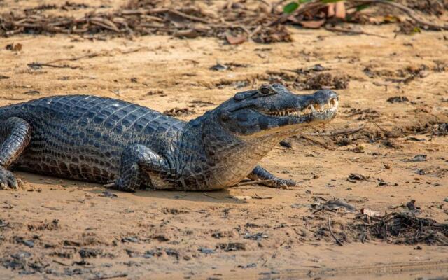 Lontra Pantanal Hotel
