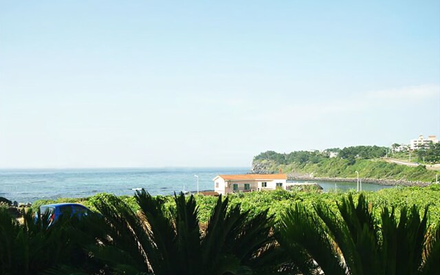 Jeju Beach Pension