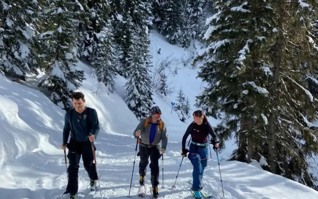 Skivillaroger