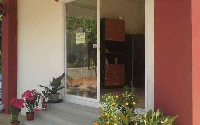 Dentara Grand
