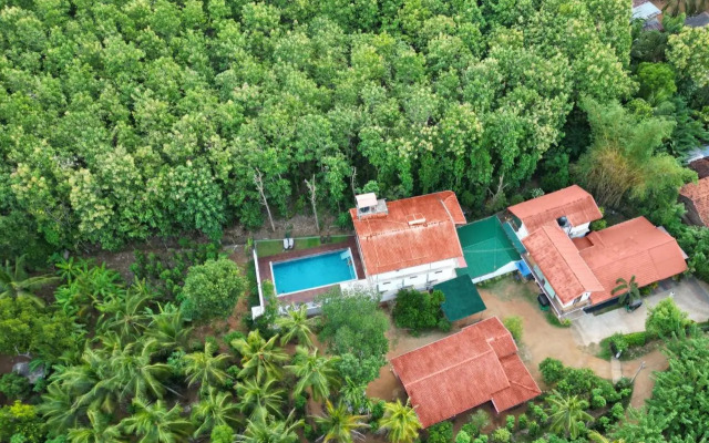 Nature House