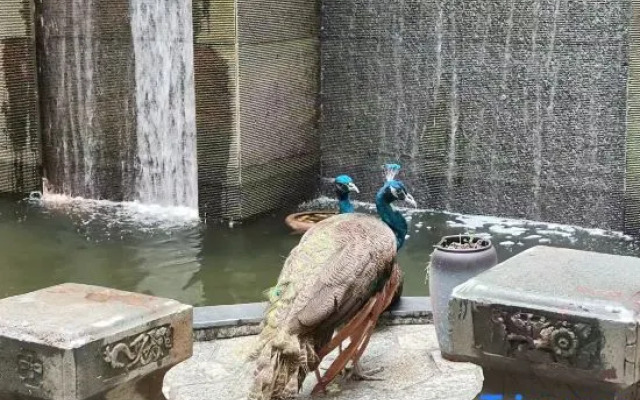 Qifu · JuE Hotel (Yantaishan Shangxiahang)