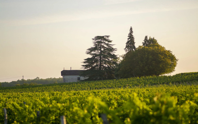 VANDENBELD Wines B&B