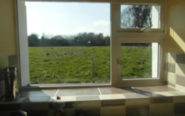 Country Studio