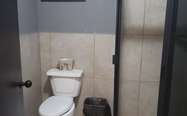 Singular Polanco Goldsmith