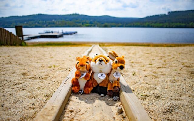 Amenity Hotel & Resort Lipno