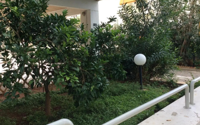 Sunny apartment