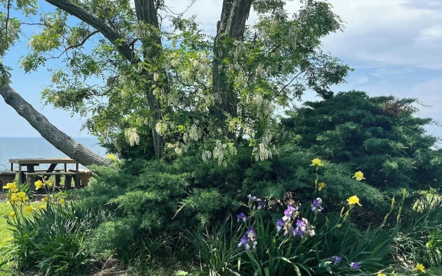 Black Walnut Point Inn