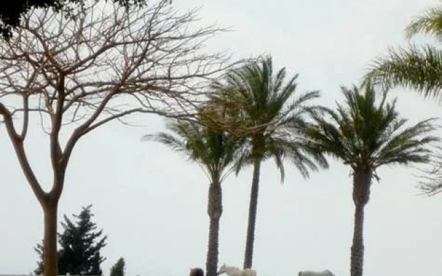 Al-Yasmine Guest House