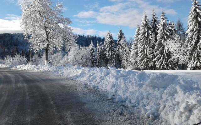 Albergo Ristorante Forcelletto