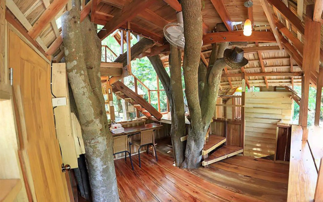 Rabeang Pasak Treehouse Resort