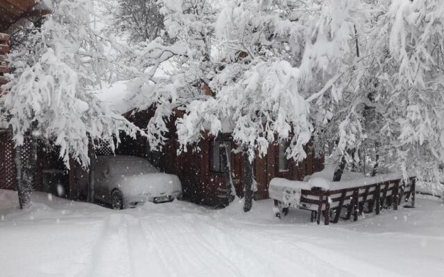 Cabañas Tronco Mayen