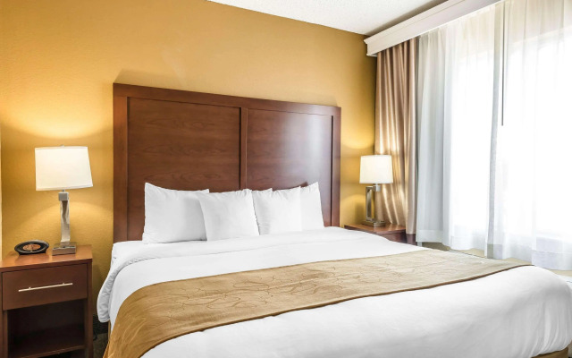 Comfort Suites Sawgrass
