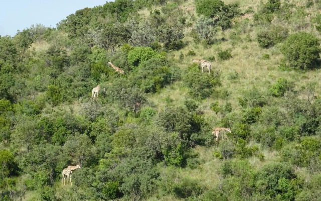 Shakama Private Game Lodge & Spa