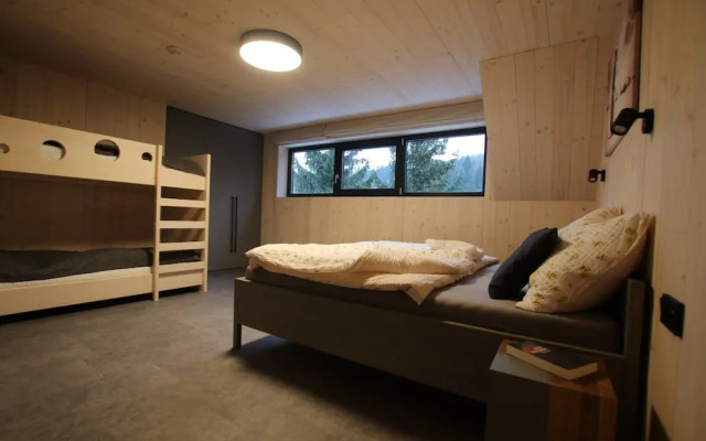 Villa in Dolni Morava Near Ski Slopes