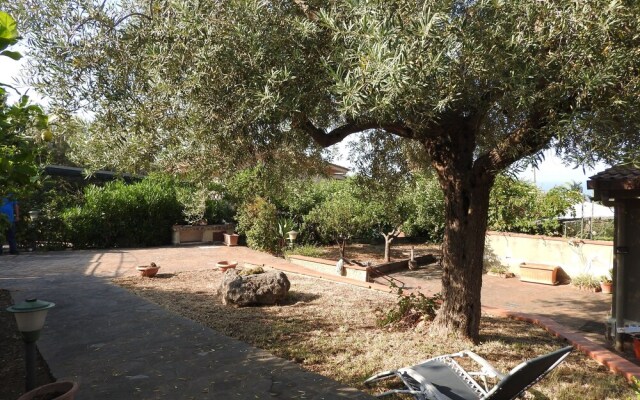 Terrazza Golden Hill