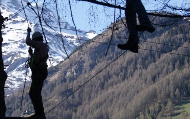 Gasthof - Appartements Sonnblick