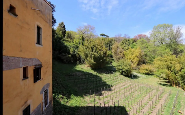 Rm-h501-gari36d3 Il Mulino di Trastevere - G4