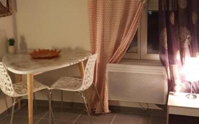 Bel appart moderne Roanne