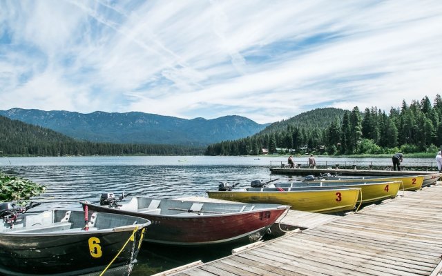 Serenity Pines Lodge in Shugart Flats