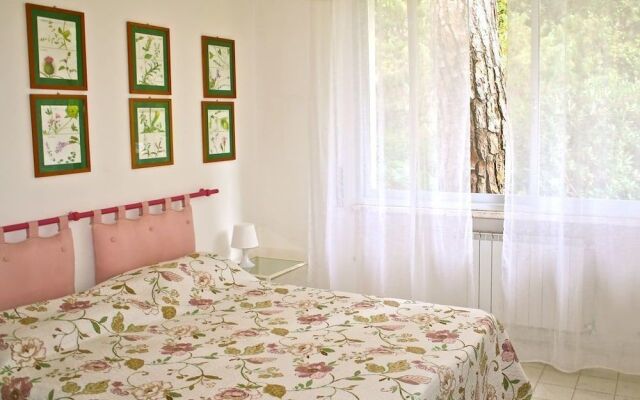 Pineta Roccamare - Toscana