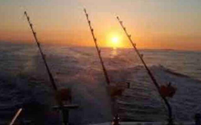 Bluestack View Apartment