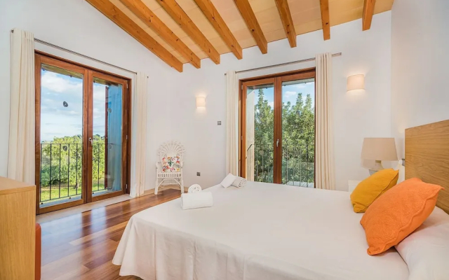 NEW 2020 - Empaltada