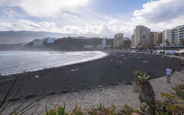 Checkin Concordia Playa