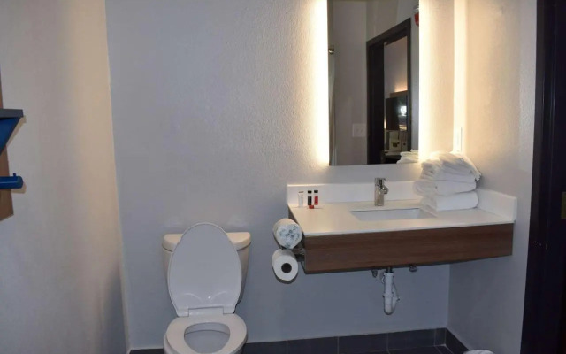 Microtel Inn & Suites by Wyndham Stockbridge/Atlanta I-75