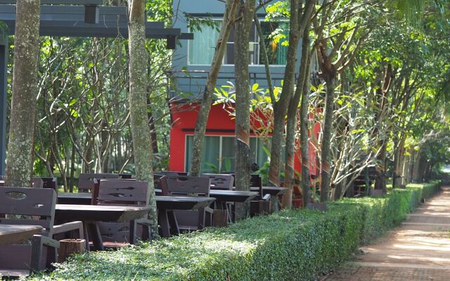 Singha Rubber Tree Kanchanaburi