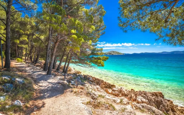 Villa Maslina in Sikovo