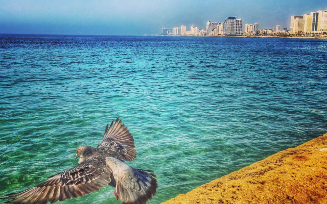 Stunning Studio By The Beach With Free Parking