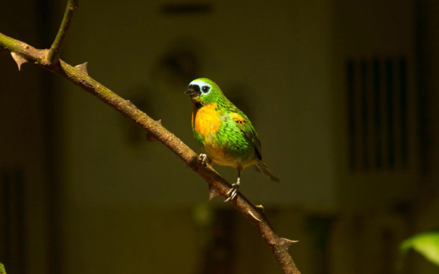 Pousada Locanda Belvedere