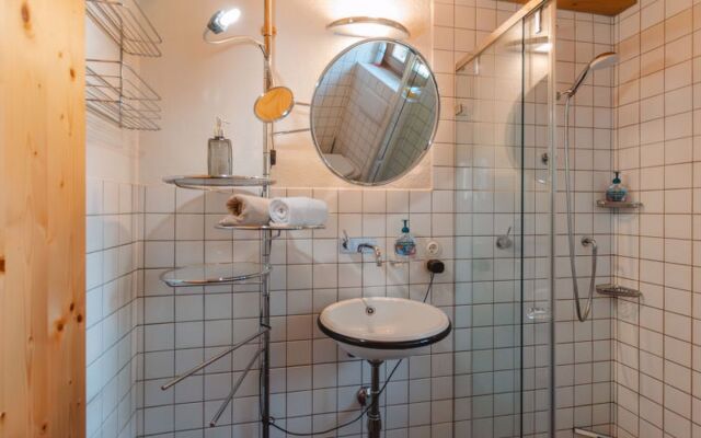 Apartment Hajenius Königsleiten