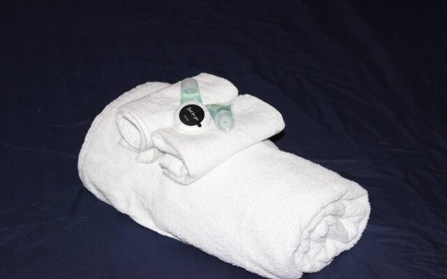 Modern and Cosy Apartment in North London, UK