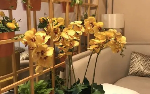 Vanke Shennan Road 68 Apartment (Shenzhen Dongmen Hubei Subway Station Branch)