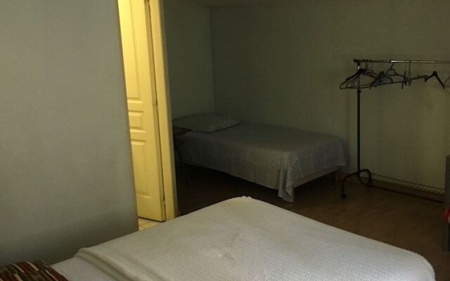 Le Palmyre Soleil de l'Amazonie