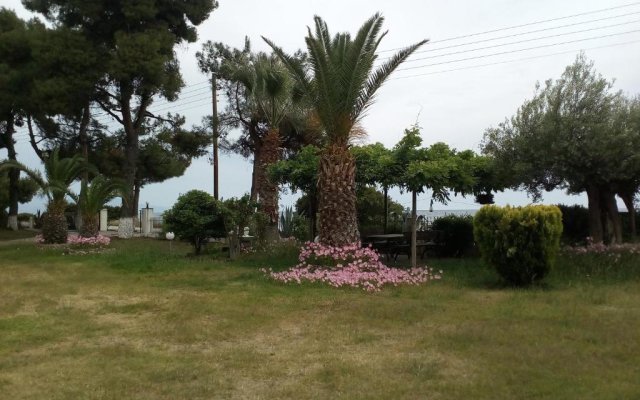 Entire Appartment 50m from sea - Spiros