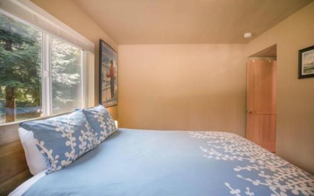 Paws in the Mountains