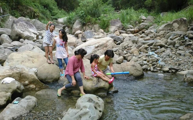 Hemerocallis Country House