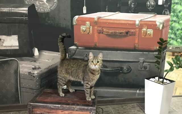 Sacvoyage