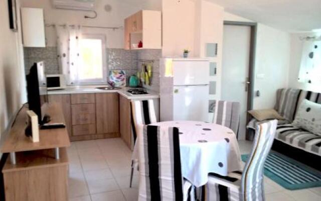 Apartment Kamelija