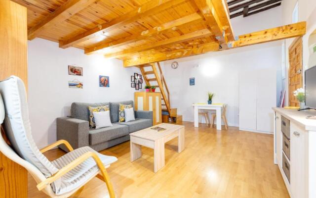 Duplex Lavapies 1BD
