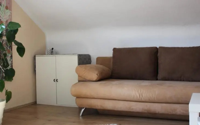 Zimmer David