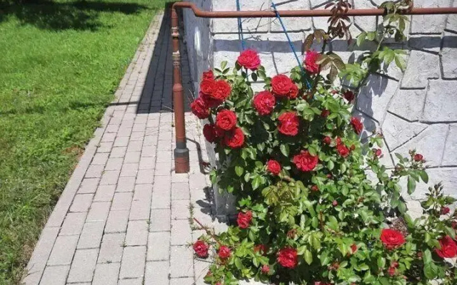 на Заливной 20А