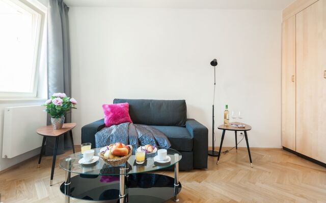 Soukenicka Apartment