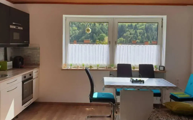 Mia Apartman, Eisenerz