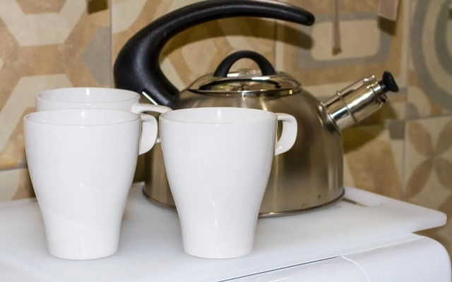 Si.Ca.Li. al Vaticano